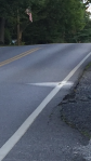 Image shows a Street in Mayberry with a puddle on the side of the road.